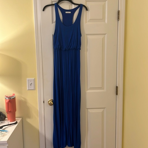 Lush Dresses & Skirts - Blue Maxi Dress
